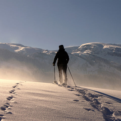 Funwinter Snow shoes Blue